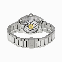 Omega Seamaster Aqua Terra 231.10.42.21.03.004 Automatic