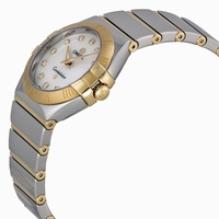 Omega 123.20.27.60.55.004 Stainless Steel