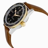 Omega Seamaster 233.22.41.21.01.001 Automatic