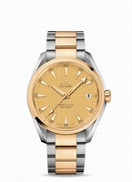 Omega 231.20.42.21.08.001 Automatic