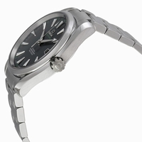 Omega Seamaster Aqua Terra 231.10.42.21.01.001 Mens