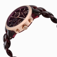 Michael Kors MK6237