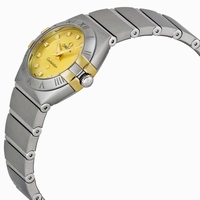 Omega 123.20.24.60.57.002 Champagne Mother of Pearl