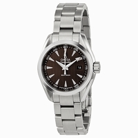 Omega Seamaster Aqua Terra 23110306006001 Stainless Steel