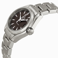 Omega Seamaster Aqua Terra 23110306006001 Stainless Steel