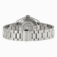 Omega Seamaster Aqua Terra 23110306006001 Stainless Steel