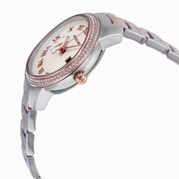 Michael Kors Whitley MK6228 Quartz