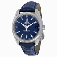 Omega 231.13.39.21.03.001 Stainless Steel