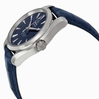 Omega 231.13.39.21.03.001 Stainless Steel