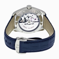 Omega 231.13.39.21.03.001 Stainless Steel