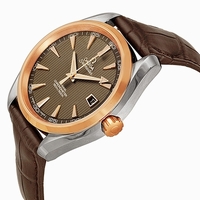 Omega Seamaster Aqua Terra 23123422106001 Stainless Steel