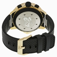 IWC IW379503 Black