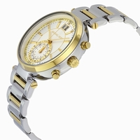 Michael Kors MK6225 Stainless Steel