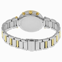 Michael Kors MK6225 Stainless Steel
