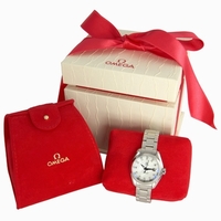 Omega Seamaster Aqua Terra 231.10.30.61.55.001 Ladies