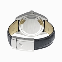 Rolex Sky Dweller 326139IVRL Automatic