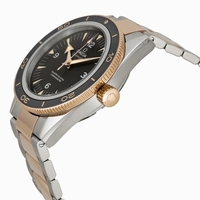 Omega 233.20.41.21.01.001 Swiss Made
