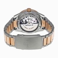 Omega 233.20.41.21.01.001 Swiss Made