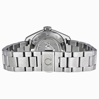 Omega Seamaster Aqua Terra 023115306156001 Gray