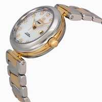 Omega Ladymatic 42520342055002 Stainless Steel