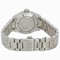 Omega Seamaster Aqua Terra 231.10.30.61.02.001 Quartz