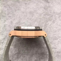 Audemars Piguet Royal Oak Offshore LeBron James Cermet Bezel Watch00780