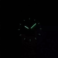 Audemars Piguet Royal Oak Offshore LeBron James Cermet Bezel Watch00780