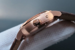 Audemars Piguet TF Jules Tourbillon Big Date Gray Dial Watch00838