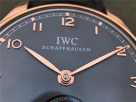 IWC Portuguese IW545406 Brown Dial Leather Strap IWC Watch01349