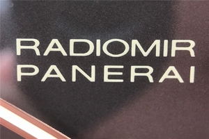 Panerai PAM504 Radiomir Brown Asso Strap Watch01136