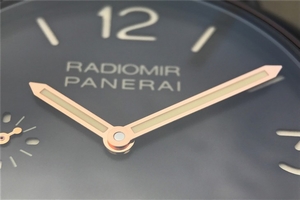 Panerai PAM504 Radiomir Brown Asso Strap Watch01136