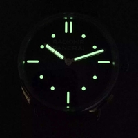 Panerai Radiomir PAM425 Dial Watch01146