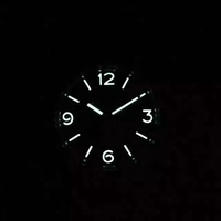 Panerai Radiomir PAM672 Firenze 3 Days Engraved Case & Movement Watch00441