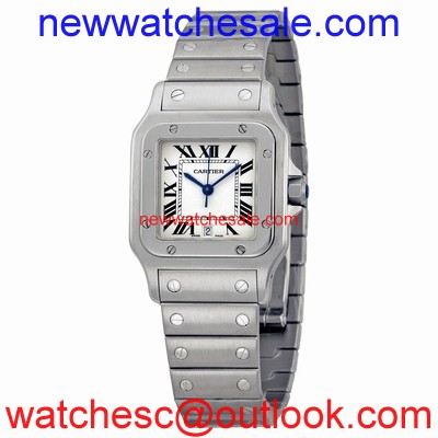 Cartier Santos de Cartier W20060D6 White