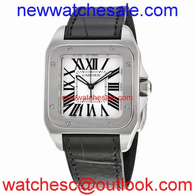 Cartier Santos de Cartier W20106X8 Silvered Opaline