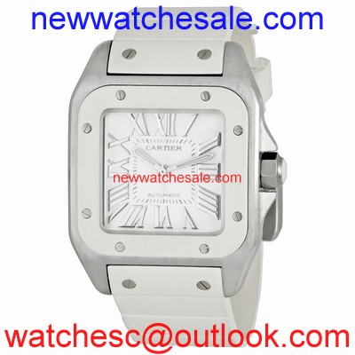 Cartier Santos de Cartier W20122U2 Silver