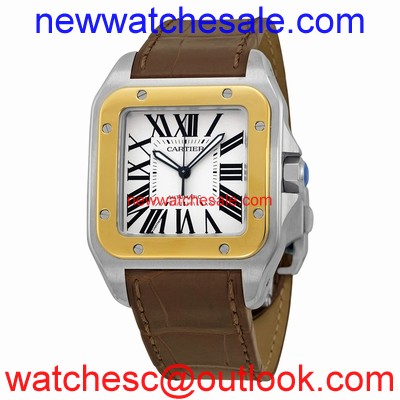 Cartier Santos de Cartier W20072X7 Stainless Steel