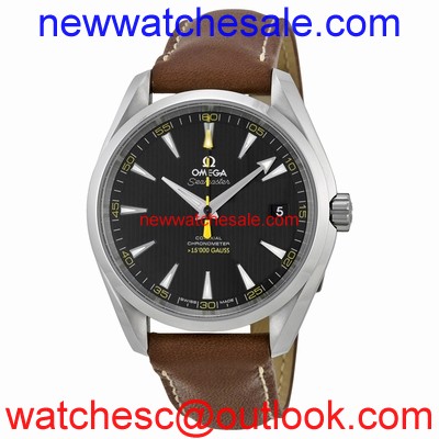 Omega Seamaster Aqua Terra 231.12.42.21.01.001 Stainless Steel