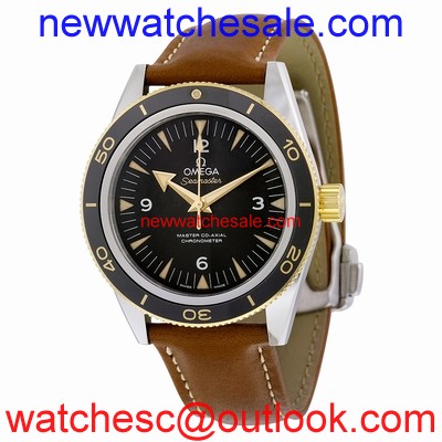 Omega Seamaster 233.22.41.21.01.001 Automatic