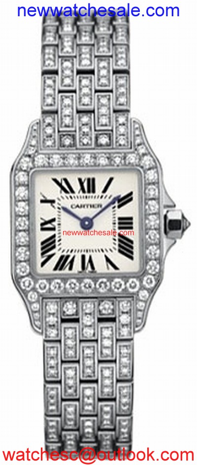 Cartier Santos de Cartier WF9003YA Silver