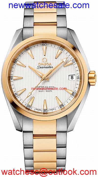 Omega 231.20.39.21.02.002 Silver