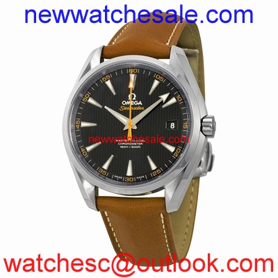 Omega 23112422101002 Mens