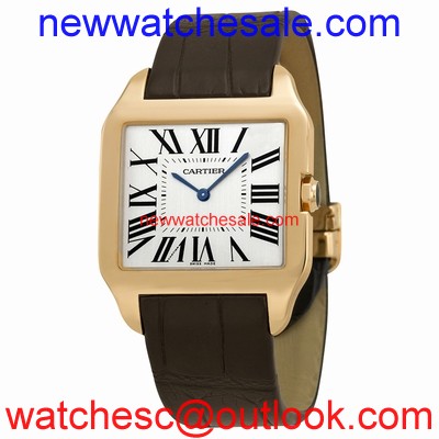 Cartier Santos de Cartier W2006951 Ivory