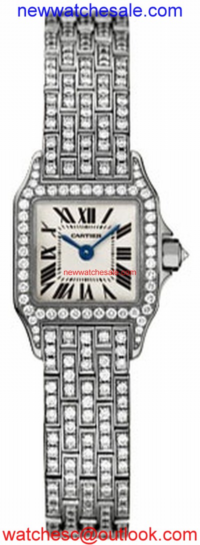 Cartier Santos de Cartier WF9005YA Swiss Made
