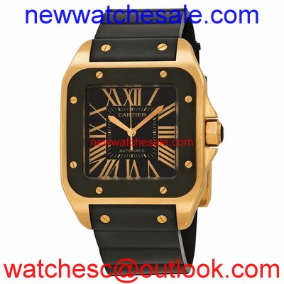 Cartier Santos de Cartier W20124U2 Automatic
