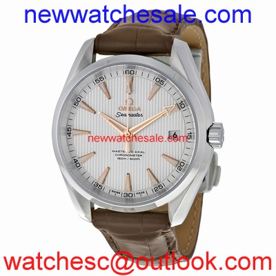 Omega 231.13.42.21.02.003 Automatic