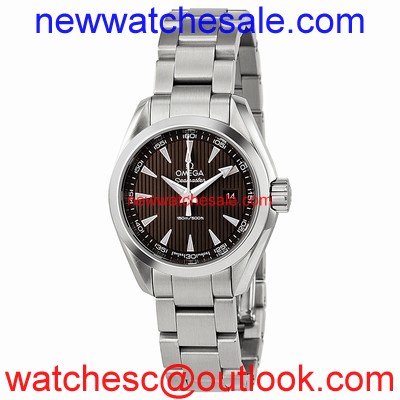 Omega Seamaster Aqua Terra 23110306006001 Stainless Steel