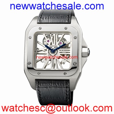 Cartier Santos de Cartier W2020018 Palladium