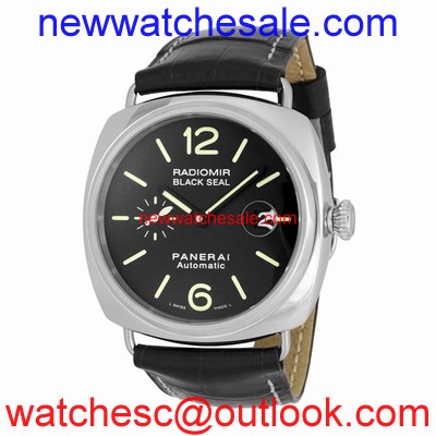 Panerai Radiomir PAM00287 Stainless Steel
