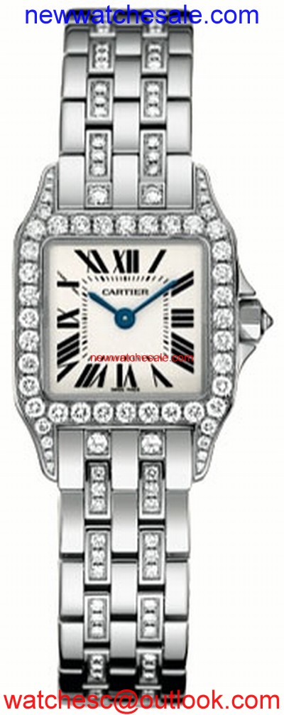 Cartier Santos de Cartier WF9003YC Ladies